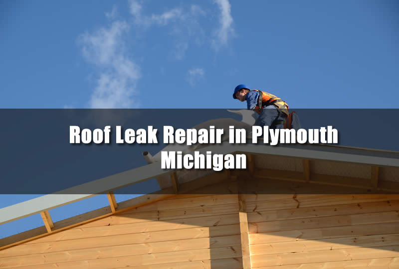 Roof Leak Repair in Plymouth Michigan