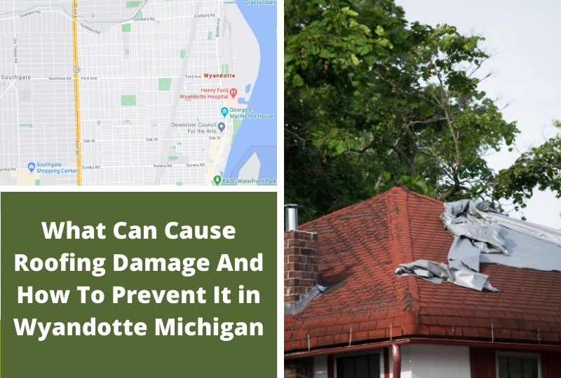 Roof Damage Wyandotte Mi