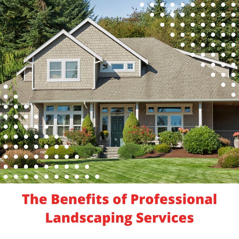 The Benefits of Professional Landscaping Services