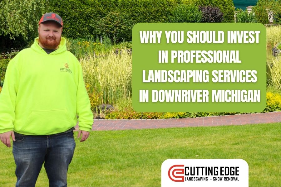 Why You Should Invest in Professional Landscaping Services in Downriver Michigan